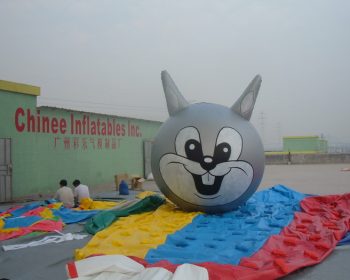 B13 Inflatable Balloon