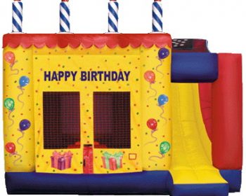 T1-106 inflatable bouncer