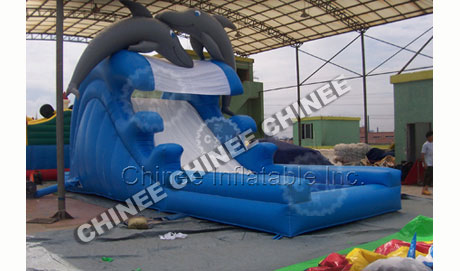 T10-128 Inflatable Water Slides