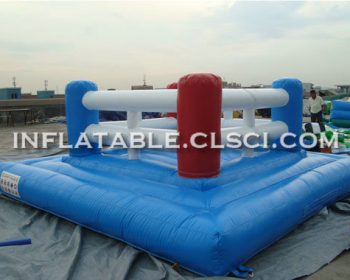 T11-1013 Inflatable Sports
