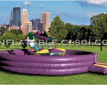 T11-107 Inflatable Sports
