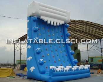 T11-1096 Inflatable Sports