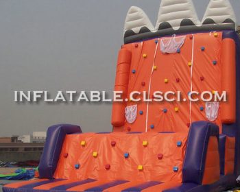 T11-1135 Inflatable Sports