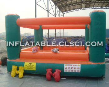 T11-1139 Inflatable Sports