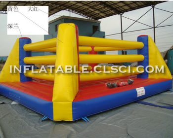 T11-1141 Inflatable Sports