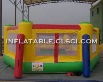 T11-1147 Inflatable Sports