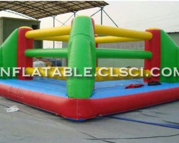 T11-1151 Inflatable Sports