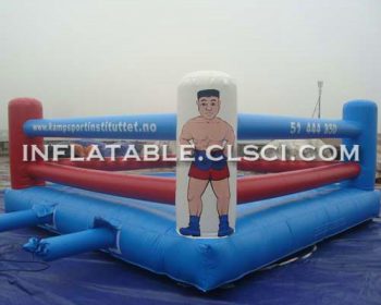 T11-1157 Inflatable Sports