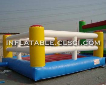 T11-1163 Inflatable Sports