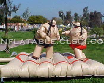 T11-125 Inflatable Sports