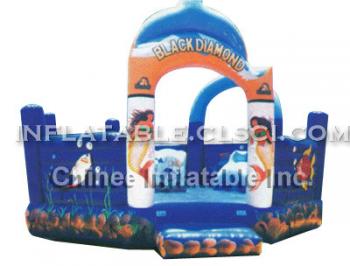 T11-204 Inflatable Sports
