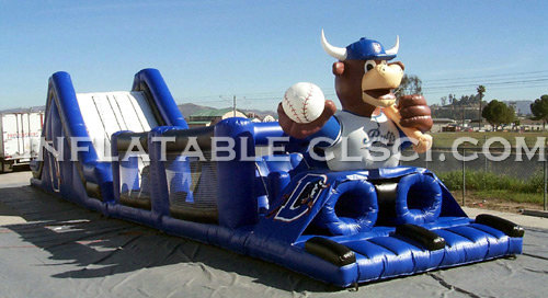T11-238 Inflatable Sports