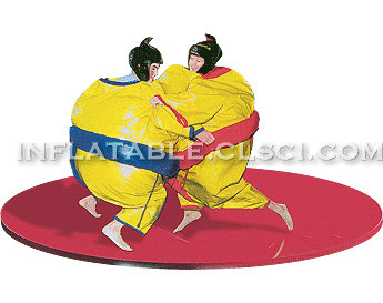 T11-248 Inflatable Sports