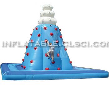 T11-271 Inflatable Sports