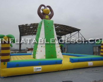 T11-272 Inflatable Sports