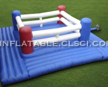 T11-339 Inflatable Sports
