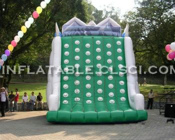 T11-348 Inflatable Sports
