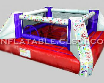 T11-424 Inflatable Sports