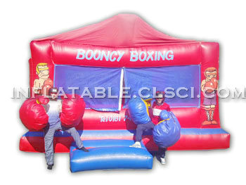 T11-441 Inflatable Sports
