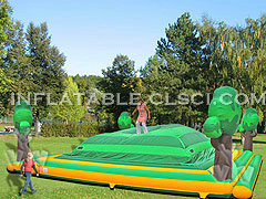 T11-533 Inflatable Sports