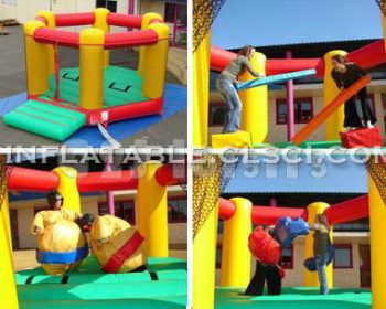 T11-565 Inflatable Sports