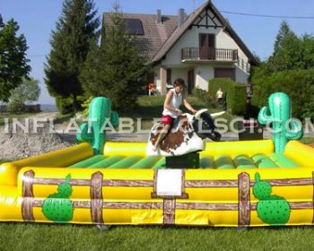 T11-566 Inflatable Sports