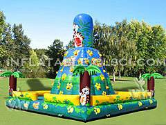 T11-573 Inflatable Sports