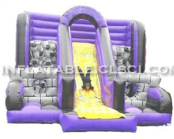 T11-609 Inflatable Sports