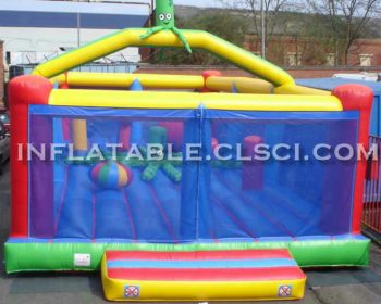 T11-623 Inflatable Sports