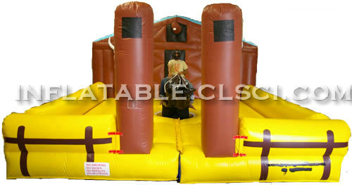 T11-641 Inflatable Sports