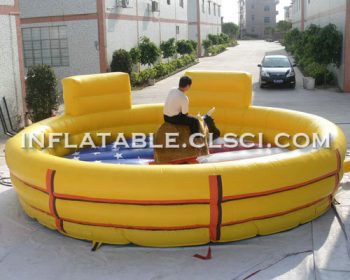 T11-843 Inflatable Sports