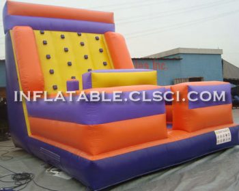 T11-913 Inflatable Sports