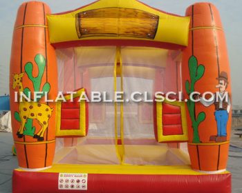 T11-927 Inflatable Sports
