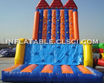 T11-978 Inflatable Sports