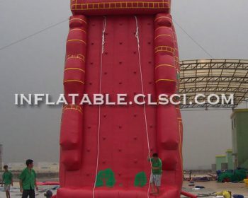 T11-991 Inflatable Sports