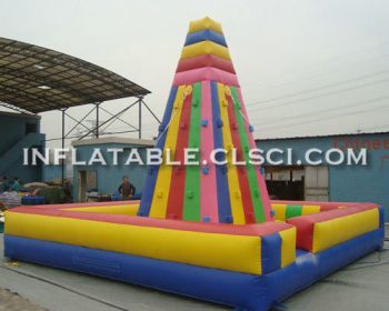 T11-995 Inflatable Sports