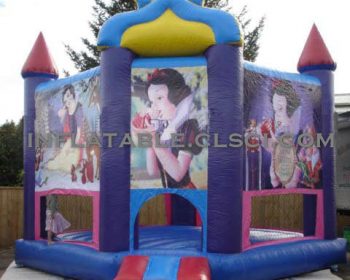 T2-2136 Inflatable Bouncer