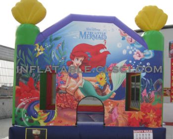 T2-3008 Inflatable Bouncers