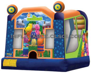 T2-491 inflatable bouncer