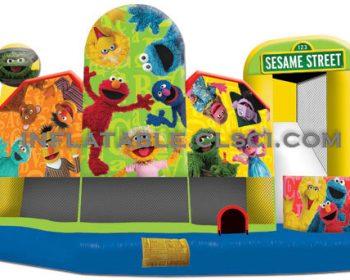 T2-543 inflatable bouncer