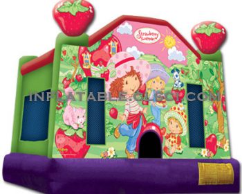 T2-551 inflatable bouncer