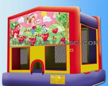 T2-707 inflatable bouncer
