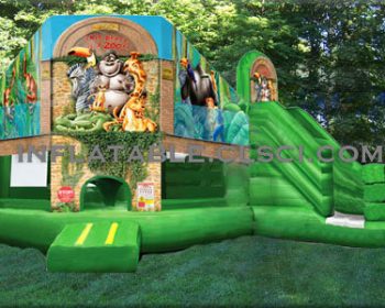 T2-868 inflatable bouncer