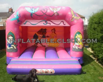 T2-906 inflatable bouncer