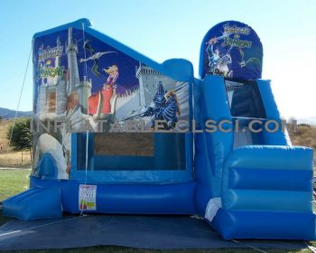 T2-948 inflatable bouncer