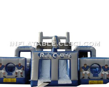 T6-304 giant inflatable
