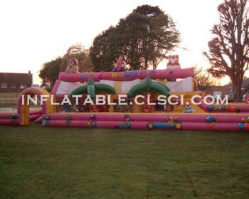 T6-305 giant inflatable