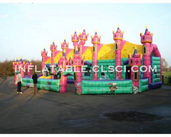 T6-310 giant inflatable