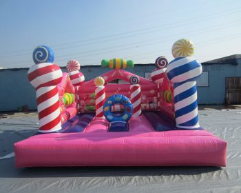 T2-1111 inflatable bouncer